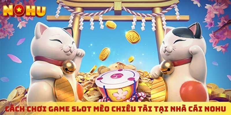 Cách chơi game slot Mèo Chiêu Tài tại nhà cái NOHU