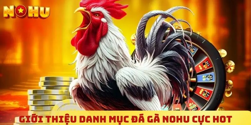 Giới thiệu tổng quan về danh mục đá gà NOHU cực hot