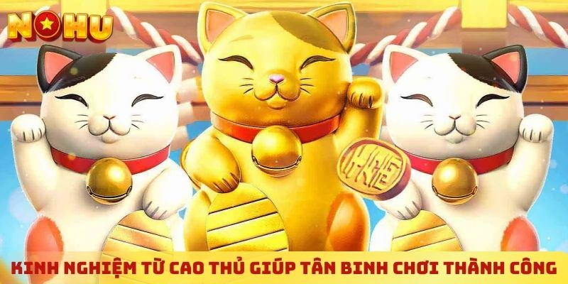 Kinh nghiệm từ cao thủ giúp tân binh chơi thành công