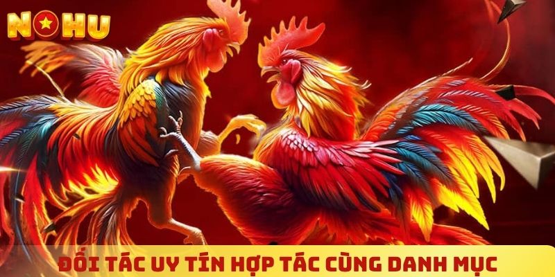 Những đối tác uy tín hợp tác cùng danh mục chọi kê NOHU